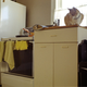 cat in kitchen